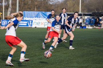 Bild 453 - wBJ Hamburger SV - Hertha BSC : Ergebnis: 2:1